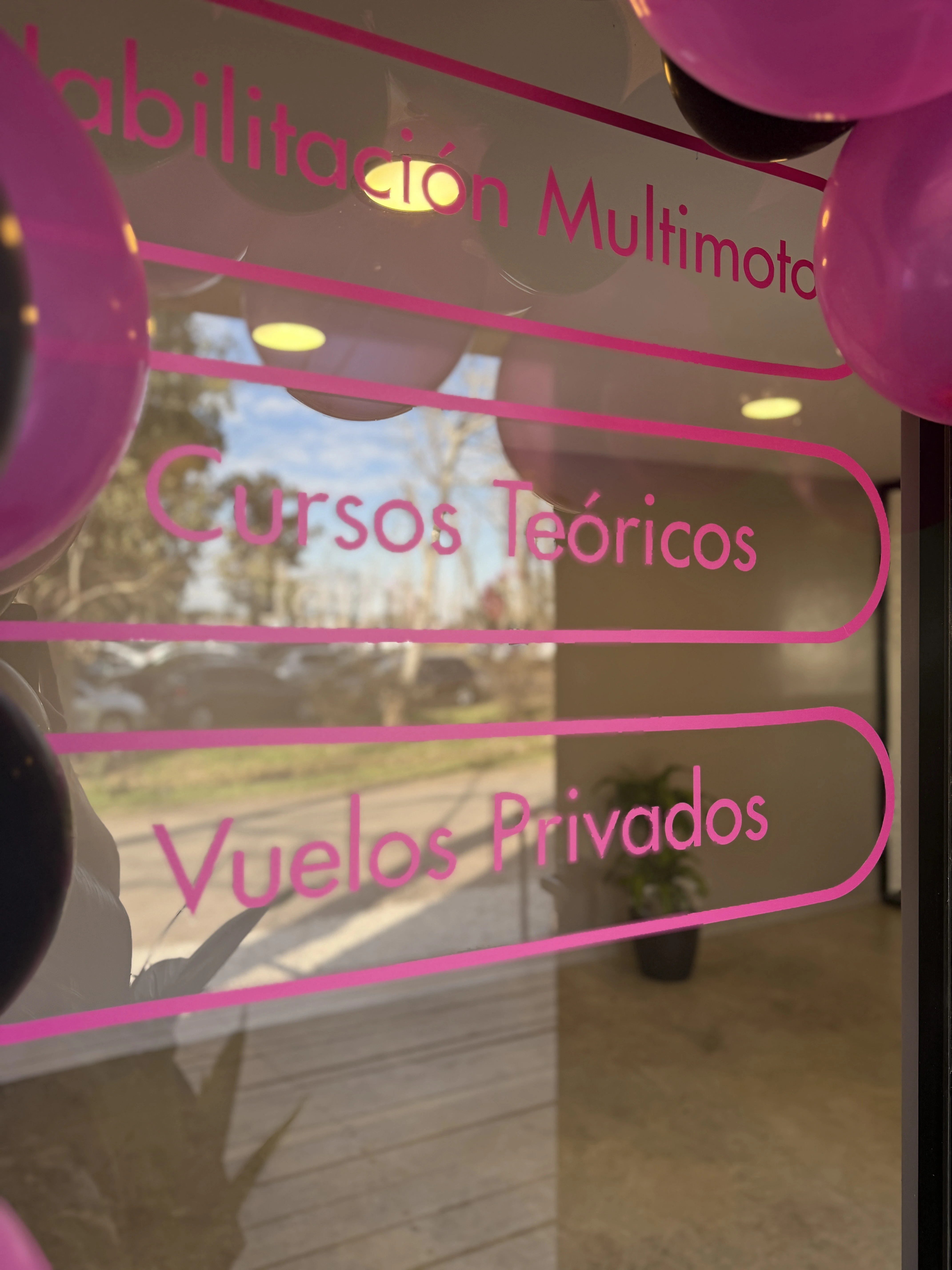 Instrucción vuelo 2
